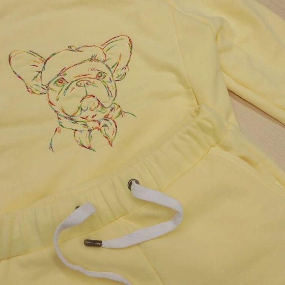 Базовый курс по машинной вышивке с амбассадором Bernina